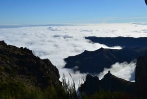 From Funchal: East Tour Madeira 4x4 Jipe Tour Santana Houses