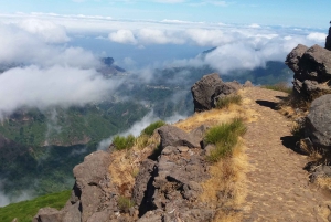 From Funchal: East Tour Madeira 4x4 Jipe Tour Santana Houses