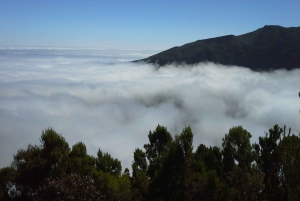 From Funchal: East Tour Madeira 4x4 Jipe Tour Santana Houses