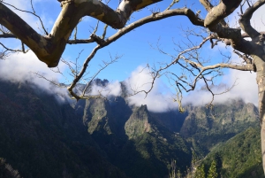 From Funchal: East Tour Madeira 4x4 Jipe Tour Santana Houses