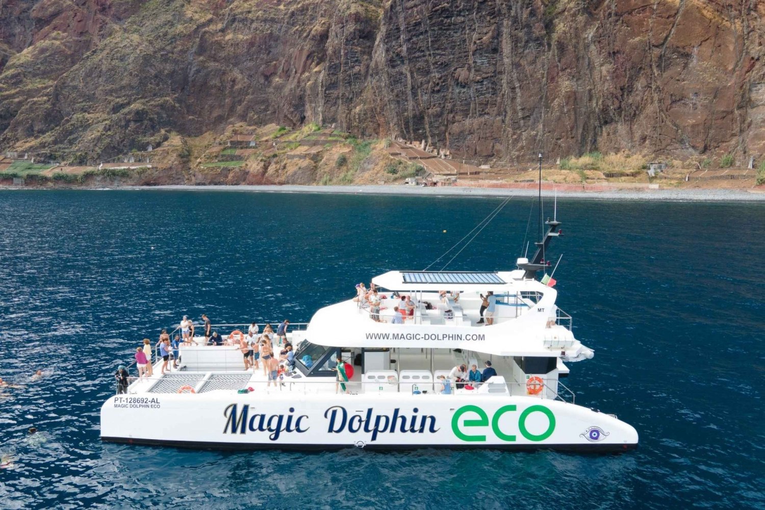 From Funchal: Ecological Catamaran Dolphin Whale Watching