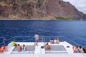 From Funchal: Ecological Catamaran Dolphin Whale Watching