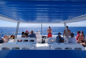 From Funchal: Ecological Catamaran Dolphin Whale Watching