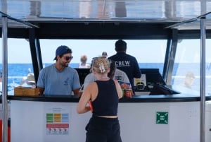 From Funchal: Ecological Catamaran Dolphin Whale Watching