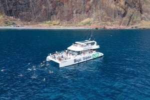 From Funchal: Ecological Catamaran Dolphin Whale Watching