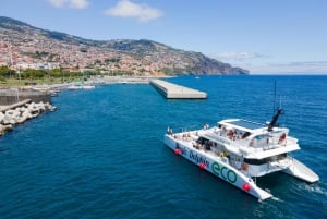 From Funchal: Ecological Catamaran Dolphin Whale Watching