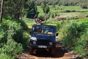 From Funchal: Eucalyptus Forest Guided 4x4 Tour