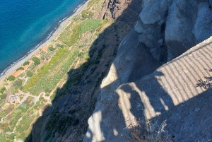 Fra Funchal: Eucalyptus-skogen guidet 4x4-tur