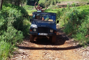 Fra Funchal: Eucalyptus-skogen guidet 4x4-tur