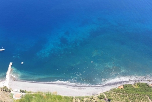 Fra Funchal: Eucalyptus-skogen guidet 4x4-tur