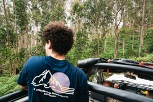 Desde Funchal: tour de 1 día en jeep por Fanal, Porto Moniz y Seixal