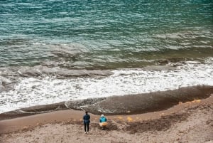 Desde Funchal: tour de 1 día en jeep por Fanal, Porto Moniz y Seixal