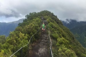 Folhadal Hidden Treasures Running Tour