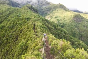 Folhadal Hidden Treasures Running Tour