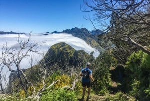 Folhadal Hidden Treasures Running Tour