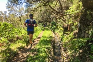 Folhadal Hidden Treasures Running Tour