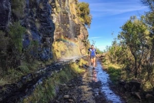 Folhadal Hidden Treasures Running Tour