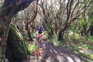 Folhadal Hidden Treasures Running Tour