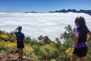 Folhadal Hidden Treasures Running Tour