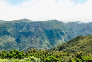 From Funchal: Porto Moniz and Seixal Day Tour by Jeep