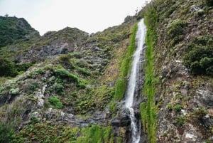 From Funchal: Porto Moniz and Seixal Day Tour by Jeep