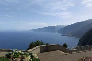 From Funchal: Full-Day Madeira & Porto Moniz Tour