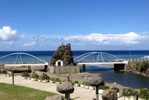 From Funchal: Full-Day Madeira & Porto Moniz Tour