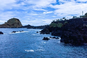 From Funchal: Full-Day Madeira & Porto Moniz Tour