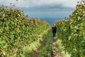 From Funchal: Full-Day Madeira Wine Tour with Lunch