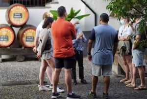 From Funchal: Full-Day Madeira Wine Tour with Lunch