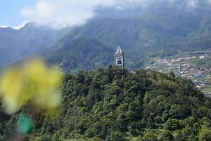 From Funchal: Full-Day Madeira Wine Tour with Lunch