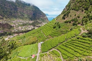 From Funchal: Full-Day Madeira Wine Tour with Lunch