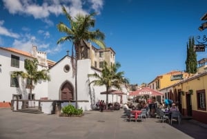 From Funchal: Garajau Tuk-Tuk Tour with Christ King Statue