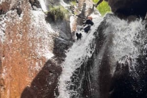 From Funchal: Intermediate Canyoning Adventure (Level 2)