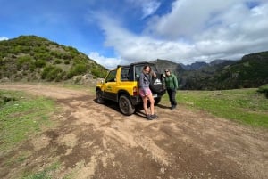 Fra Funchal: Guidet tur i en jeep i Madeira-bjergene