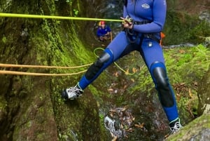 From Funchal: Intermediate Canyoning Adventure (Level 2)