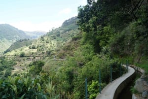 From Funchal: Levada Nova Hiking Tour with stopover at beach