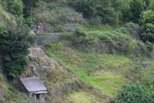 From Funchal: Levada Nova Hiking Tour with stopover at beach