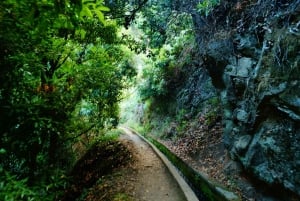 From Funchal: Levada Nova Hiking Tour with stopover at beach