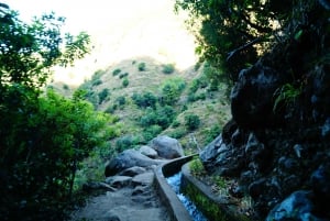 From Funchal: Levada Nova Hiking Tour with stopover at beach