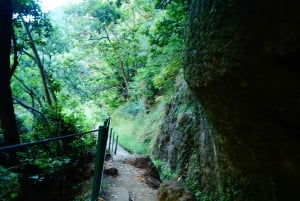 From Funchal: Levada Nova Hiking Tour with stopover at beach