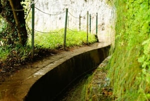 From Funchal: Levada Nova Hiking Tour with stopover at beach