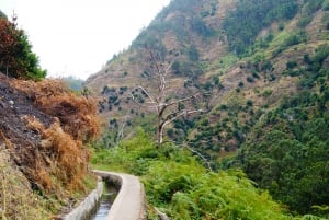 From Funchal: Levada Nova Hiking Tour with stopover at beach