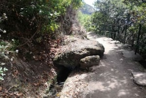 From Funchal: Levada Nova Hiking Tour with stopover at beach