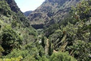 From Funchal: Levada Nova Hiking Tour with stopover at beach