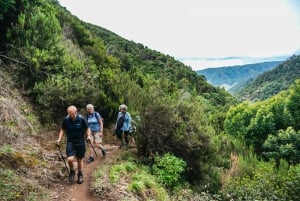 From Funchal: Machico to Porto da Cruz Larano Cliff Hike