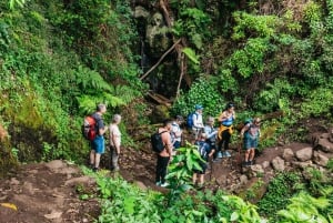 From Funchal: Machico to Porto da Cruz Larano Cliff Hike