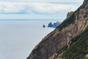 From Funchal: Machico to Porto da Cruz Larano Cliff Hike