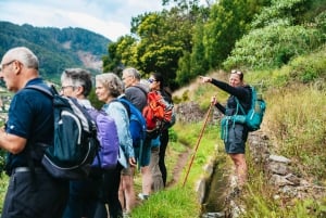 From Funchal: Machico to Porto da Cruz Larano Cliff Hike