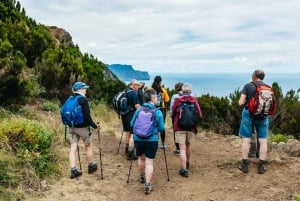 From Funchal: Machico to Porto da Cruz Larano Cliff Hike